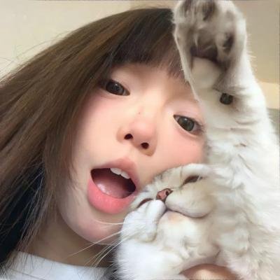 阿伦与伙伴